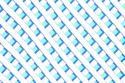 Blue Lattice Corobuff - Product #1227