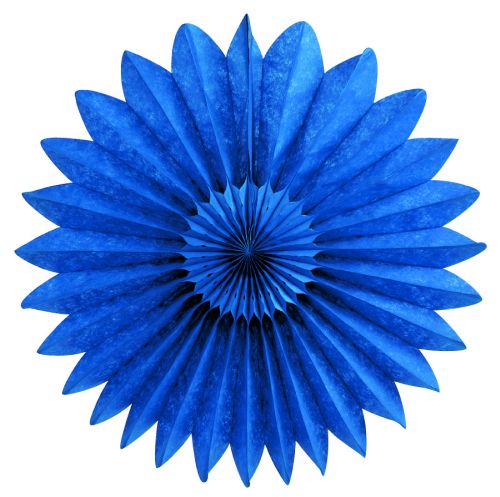 Blue Fan - Product #5437-4 - Click Image to Close