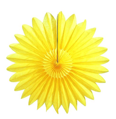 Yellow Fan - Product #5441-4 - Click Image to Close
