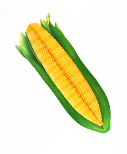 Corn - Product #5448-9
