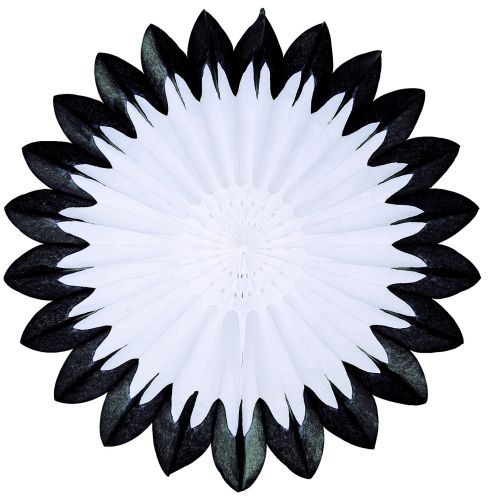 Black & White Fan Burst - Product #5460-1 - Click Image to Close