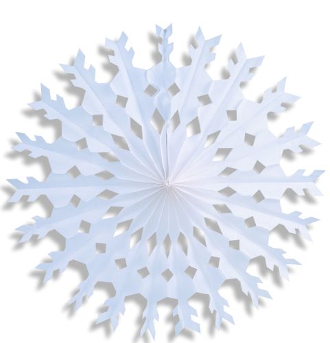 Snowflake - Product #5481-0 - Click Image to Close