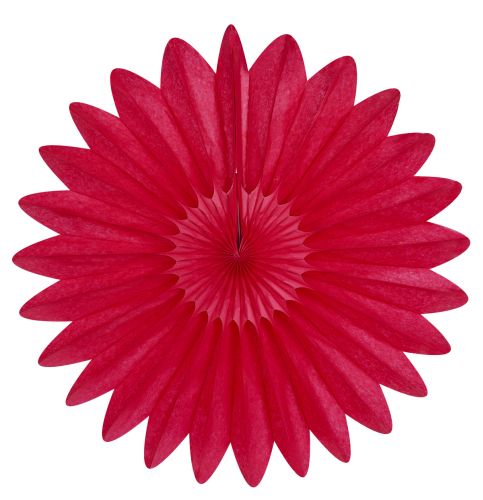 Red Fan - Product #5438-4