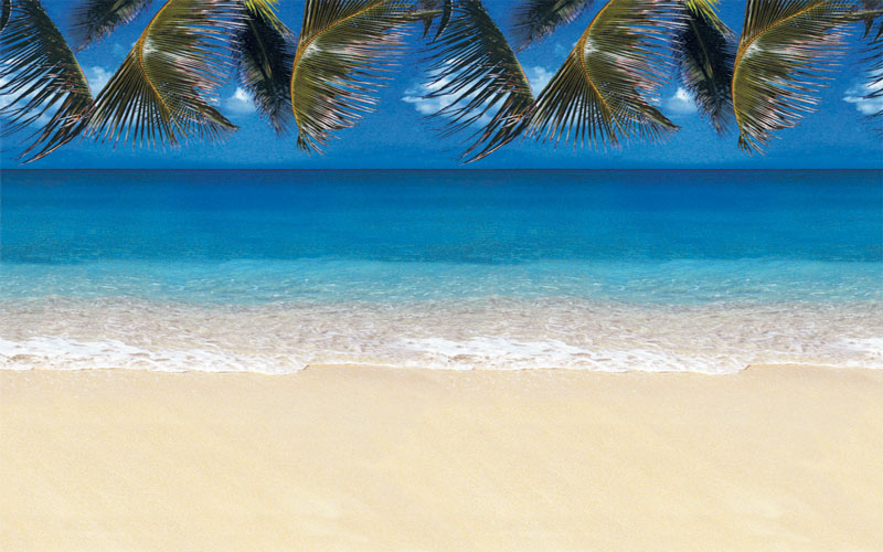 Tropical Beach - Product # 1382 - Click Image to Close